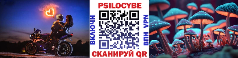 Галлюциногенные грибы мицелий  магазин    mega маркетплейс  Узловая 